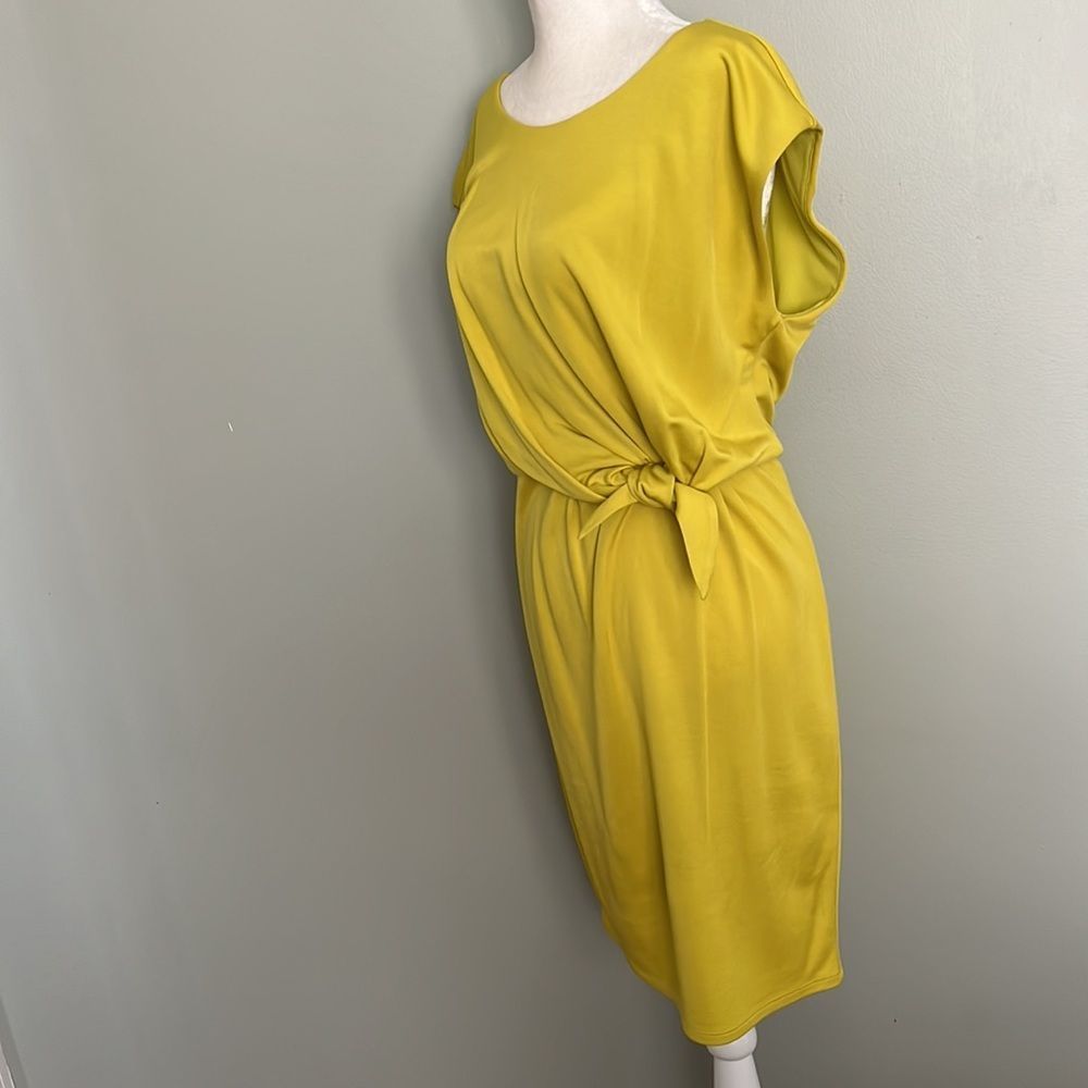 Dress   - Picture 3 of 5